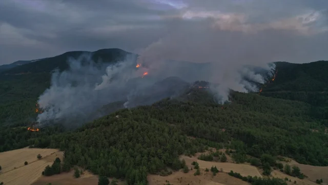 Kastamonu ve Karabük'teki Yangın Felaketi Büyüyor