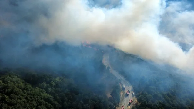 Karabük'te Orman Yangını: Hemen Müdahale Edildi