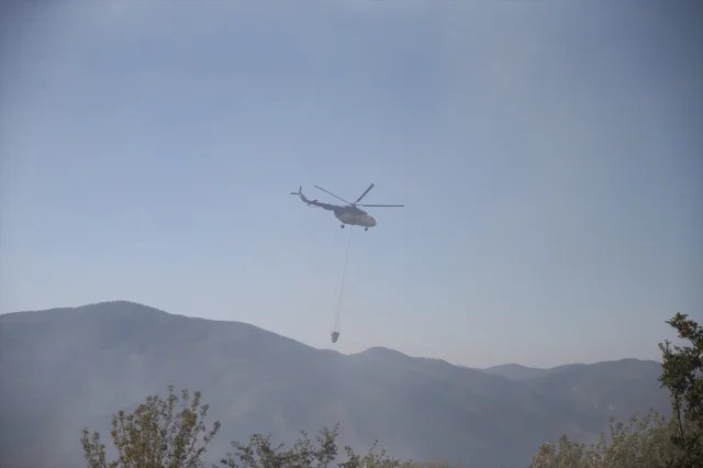 Karabük'te Orman Yangını: Hemen Müdahale Edildi