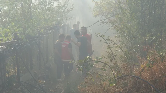 Karabük'te Orman Yangını: Hemen Müdahale Edildi