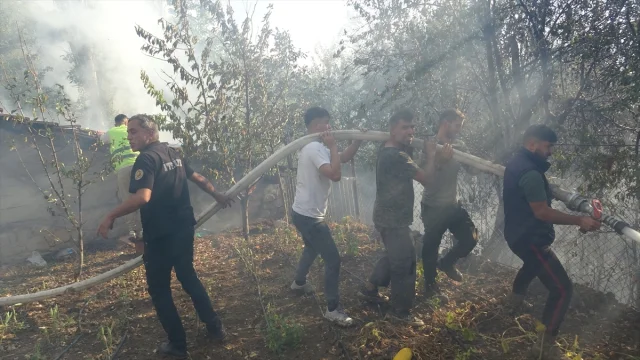 Karabük'te Orman Yangını: Hemen Müdahale Edildi