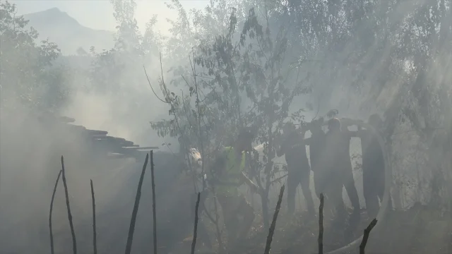 Karabük'te Orman Yangını: Hemen Müdahale Edildi