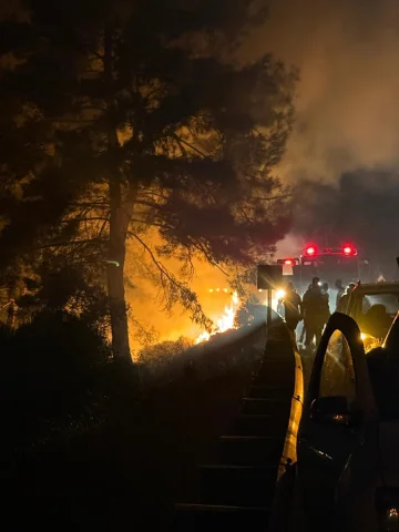 Muğla'nın Ormanlarında Büyük Mücadele: Yangın Kontrol Altınd...