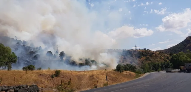 Sivas'ta Orman Yangını Korkuttu: Söndürme Çalışmaları Aralık...