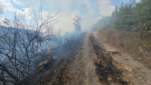 Zonguldak'ta Orman Yangını Krizi: Nasıl Mücadele Edildi?