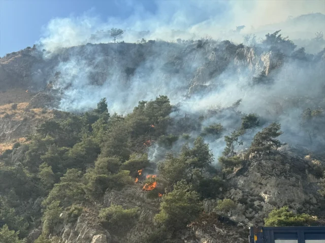 Söke'deki Orman Yangını Neredeyse Felakete Dönüşüyordu