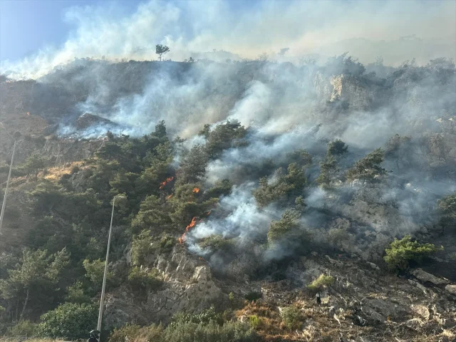 Söke'deki Orman Yangını Neredeyse Felakete Dönüşüyordu