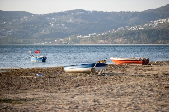 Sapanca Gölü S.O.S Veriyor: Su Seviyesi İçin Acil Önlemler Gündemde
