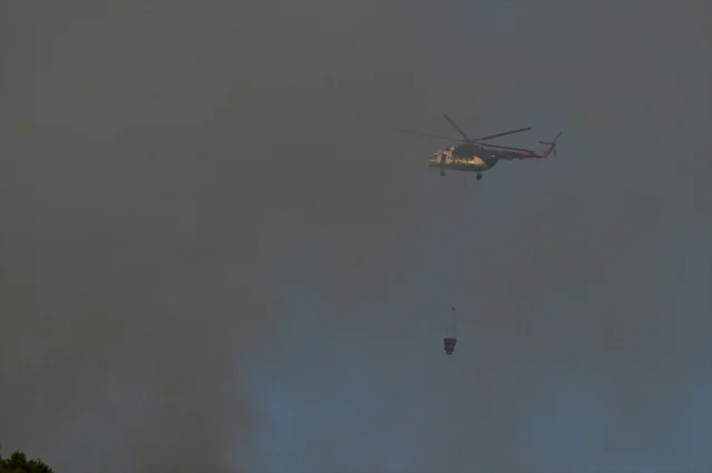 Düzce'de Orman Yangını Sürüyor: Ekipler Zorlu Mücadele Veriy...