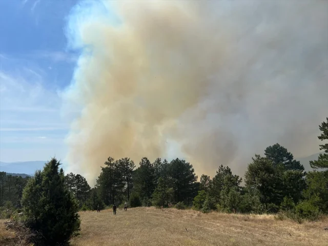 Bursa'nın Ormanlık Alanında Çıkan Yangın İle İlgili Şaşırtıc...