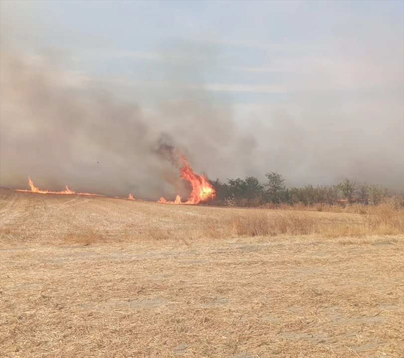 Edirne'de Çıkan Yangın Büyük Tehlike Yarattı: Binlerce Dekar Arazi Kül Oldu