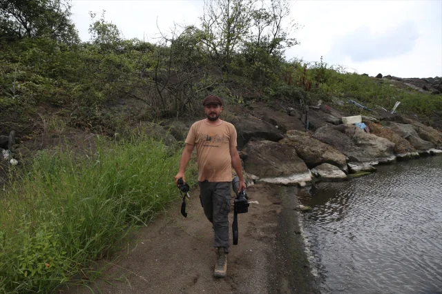 Karadeniz'in Saklı Kuş Hazinesi: 172 Tür Tespit Edildi
