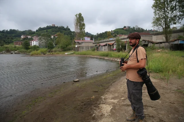 Karadeniz'in Saklı Kuş Hazinesi: 172 Tür Tespit Edildi