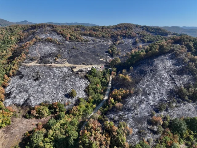 Düzce'de Yıkıcı Yangın: Hangi Alanlar Kül Oldu?