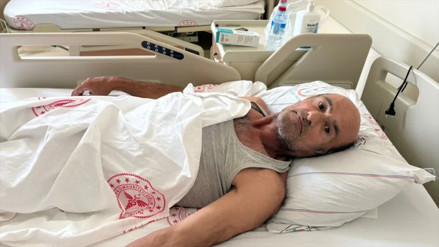 Sakarya'da Ayı Saldırısı Dehşeti: Cevat Sunman Yaşadıklarını...