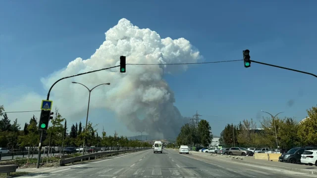 Bursa Orman Yangını Korkutuyor: Müdahale Çalışmaları Sürüyor