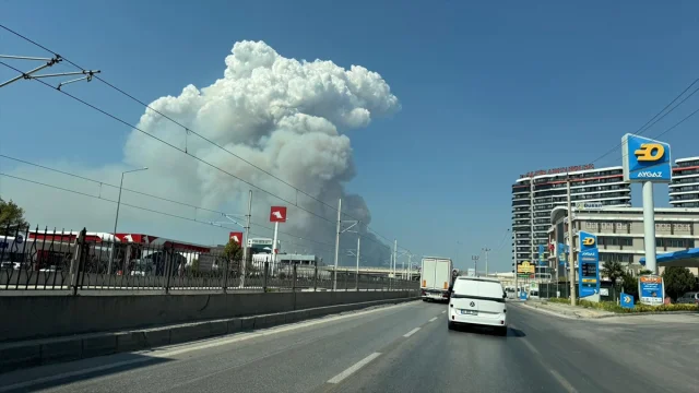Bursa Orman Yangını Korkutuyor: Müdahale Çalışmaları Sürüyor