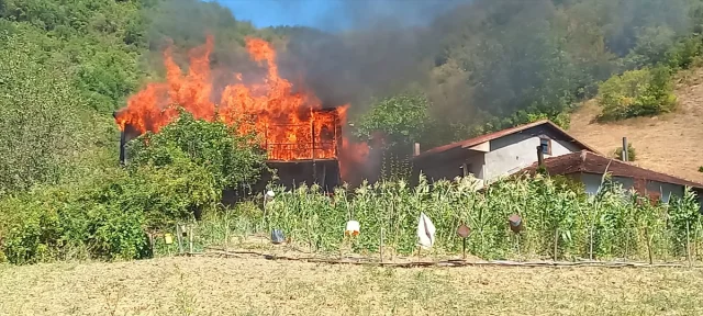 Karabük'te Korkutan Yangın