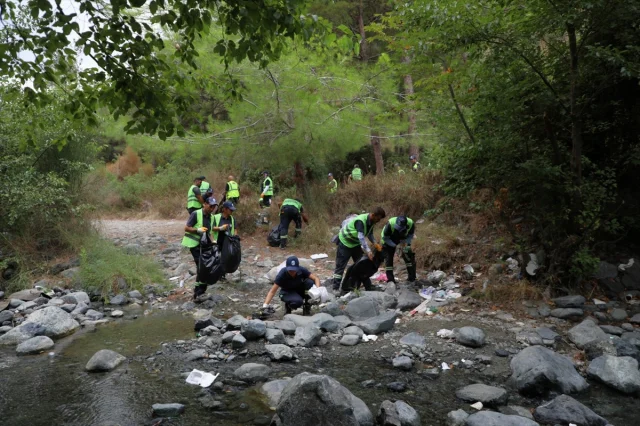 Hatay Sahilleri Temizleniyor: Kum Zambakları ve Deniz Kaplumbağaları Koruma Altında
