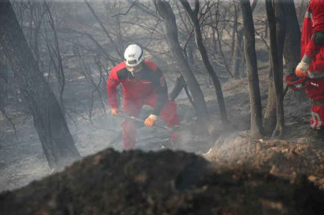 Bursa'nın Yeşilini Tehdit Eden Yangınla Mücadele Sürüyor