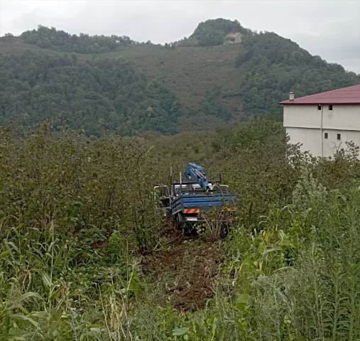 Samsun'da Kontrolden Çıkan Kamyonet Fındık Bahçesine Uçtu