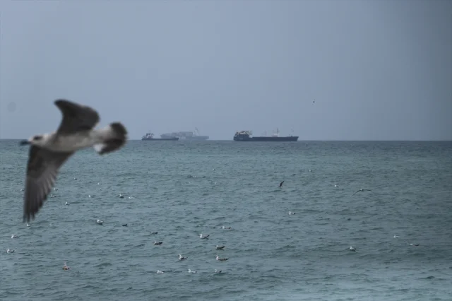 Marmara'nın Sert Poyrazı Ulaşımı Felç Etti