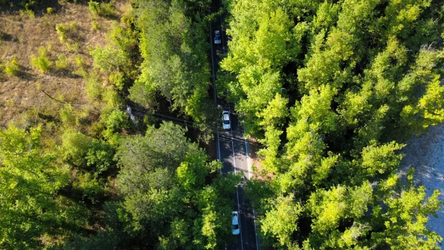 Safranbolu'da Sıra Dışı Bir Deneyim: Ağaçların Altında Yolculuk