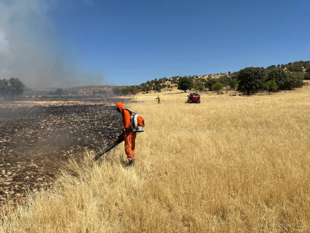 Mardin'de Alevlerle Mücadele Zamanla Yarışıyor