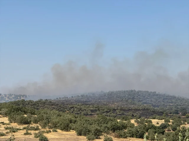 Mardin'de Alevlerle Mücadele Zamanla Yarışıyor