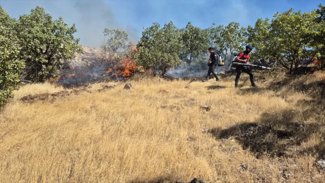 Mardin'de Alevlerle Mücadele Zamanla Yarışıyor