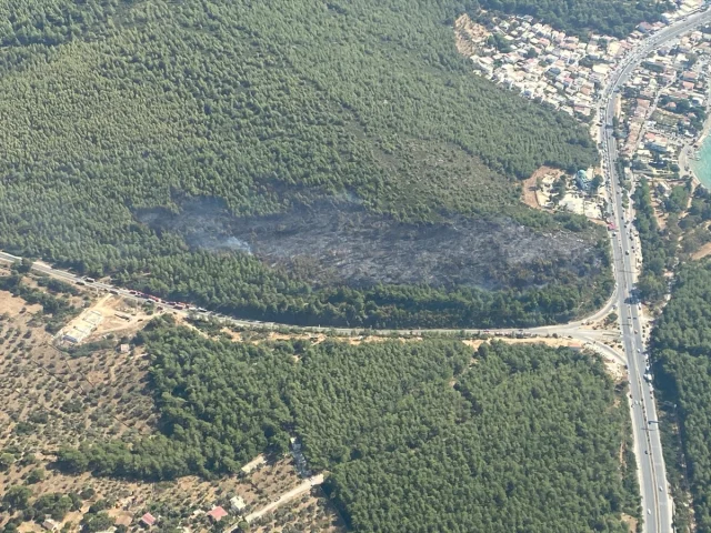 Bodrum'da Orman Yangını Paniği: Alevler Zorlukla Kontrol Alt...