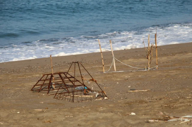 Alanya Sahillerinde Caretta Caretta Macerası