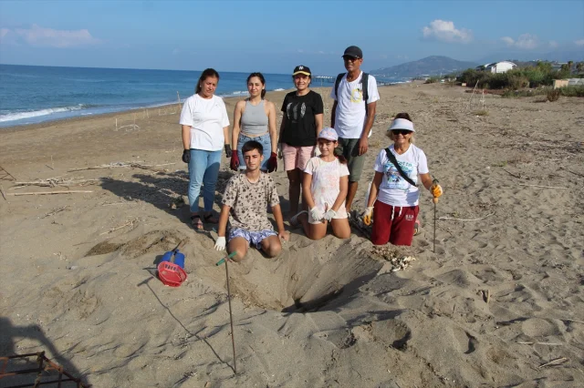 Alanya Sahillerinde Caretta Caretta Macerası