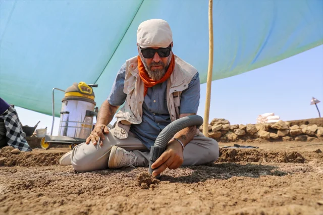 Çayönü Tepesi'nde Keşfedilen 9,500 Yıllık Yapı Arkeoloji Dünyasında Heyecan Yarattı