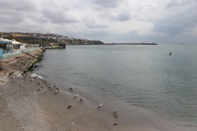 Tekirdağ'da Poyrazın Etkisi Azaldı Denizci Setleri Artık Geçilebilir