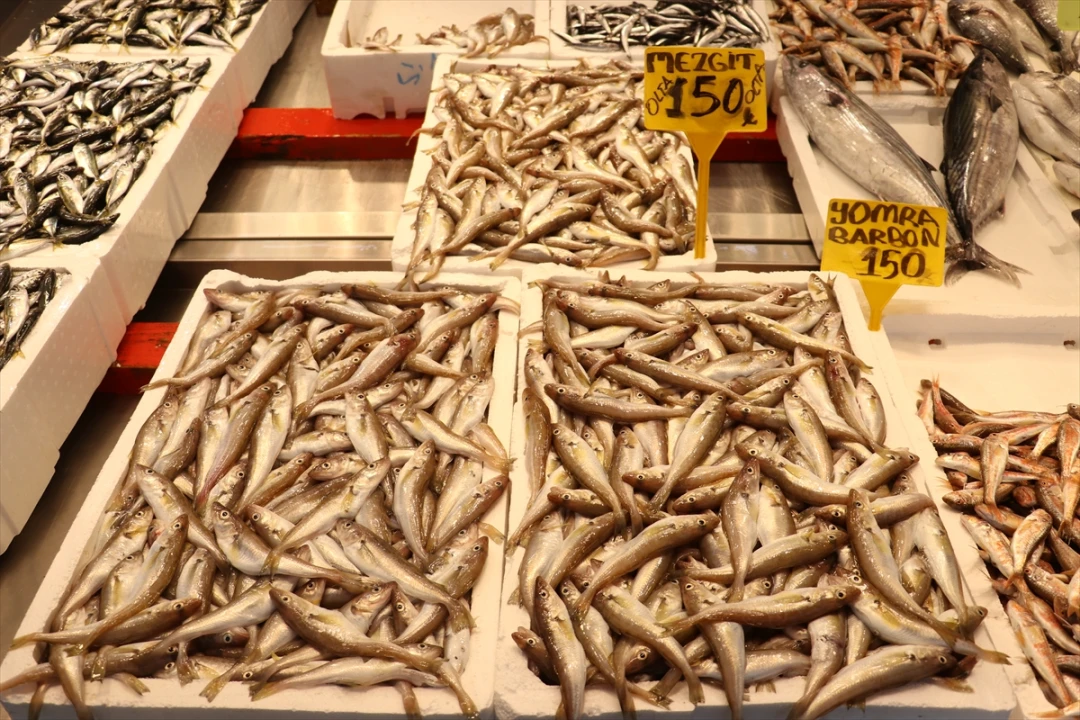 Karadeniz'de Balık Fiyatları El Yakıyor: Mezgit ve İstavrit Revaçta