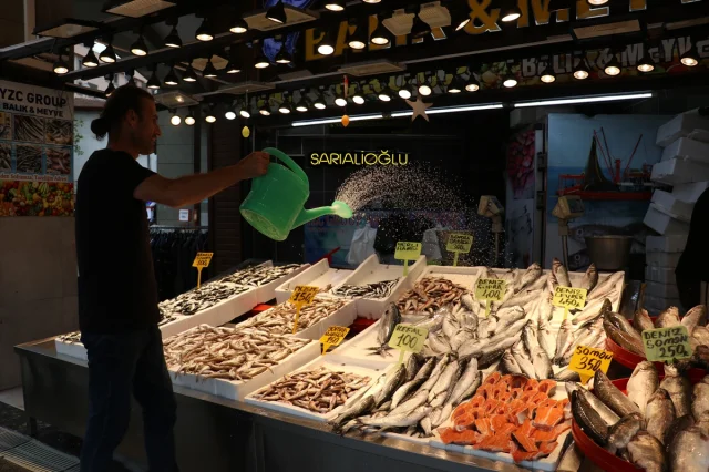 Karadeniz'de Balık Fiyatları El Yakıyor: Mezgit ve İstavrit Revaçta