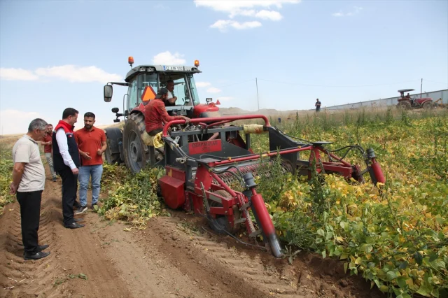 Bitlis'te Kuru Fasulyede Yeni Hasat Dönemi Başladı