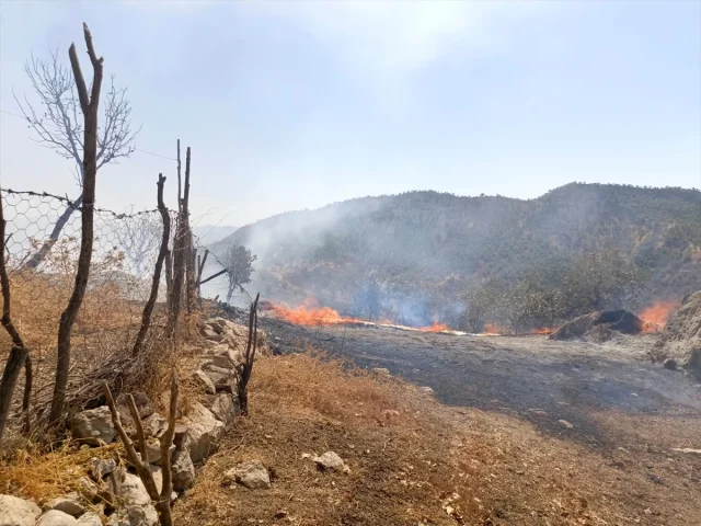 Şırnak'ta Yangın Paniği: Ahır ve Samanlık Alevlere Teslim Oldu