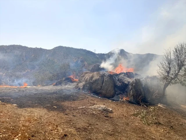 Şırnak'ta Yangın Paniği: Ahır ve Samanlık Alevlere Teslim Oldu