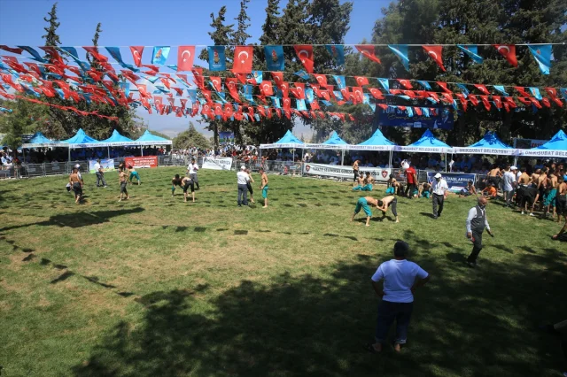 Kahramanmaraş'taki Heyecanlı Güreş Festivali İzleyicileri Büyüledi