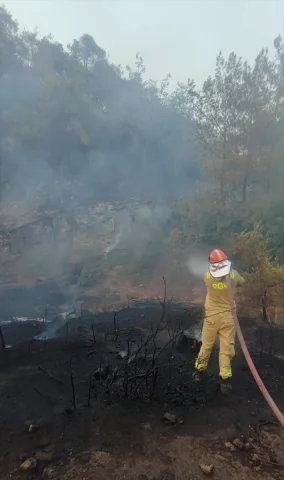 Adana'da Orman Yangını Kısa Sürede Kontrol Altına Alındı