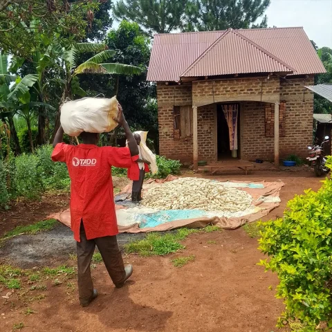 Afrika'da Tarımsal Dönüşüm Adımı: Mali ve Uganda'da Çiftçilere Eğitim