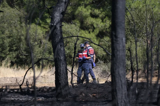 Çanakkale'de Ormanda Korkutan Yangın Son Anda Kontrol Altına Alındı
