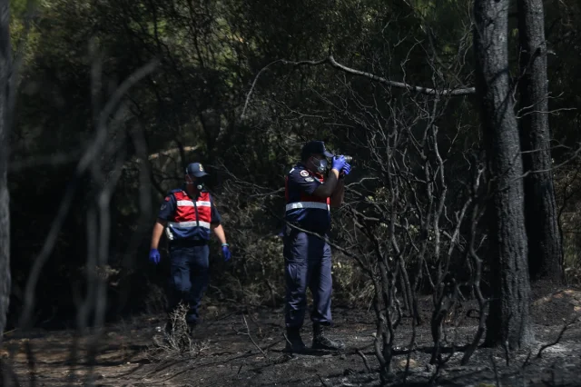 Çanakkale'de Ormanda Korkutan Yangın Son Anda Kontrol Altına Alındı