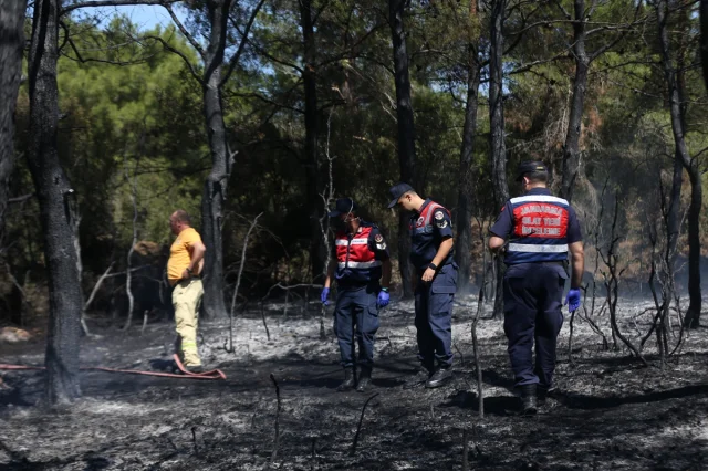 Çanakkale'de Ormanda Korkutan Yangın Son Anda Kontrol Altına Alındı