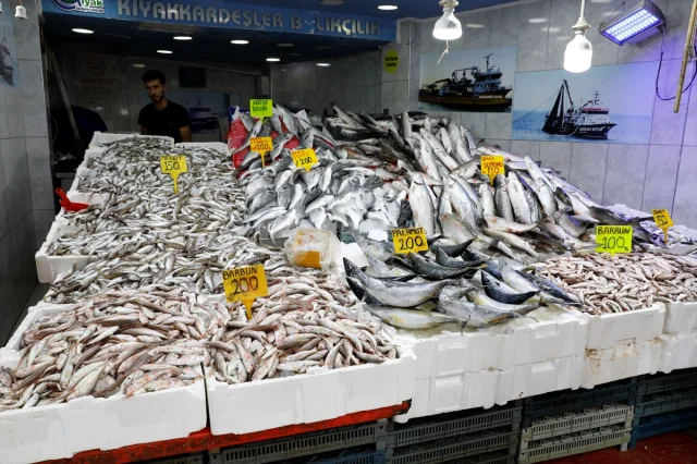 Hamsi Fiyatlarında Sürpriz Gelişme: Samsun Tezgahları Dolup...