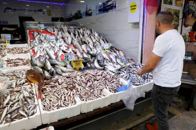 Hamsi Fiyatlarında Sürpriz Gelişme: Samsun Tezgahları Dolup Taşıyor