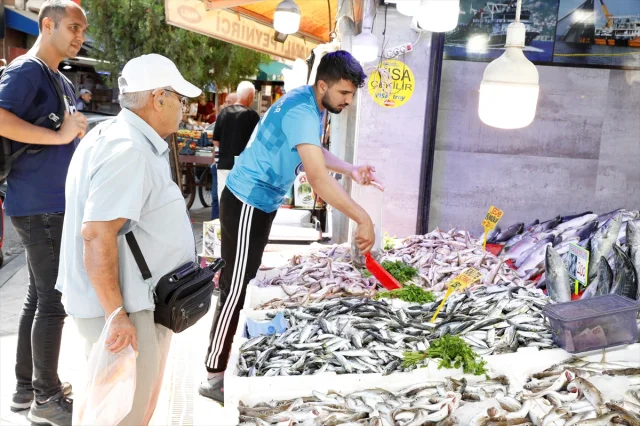 Hamsi Fiyatlarında Sürpriz Gelişme: Samsun Tezgahları Dolup Taşıyor