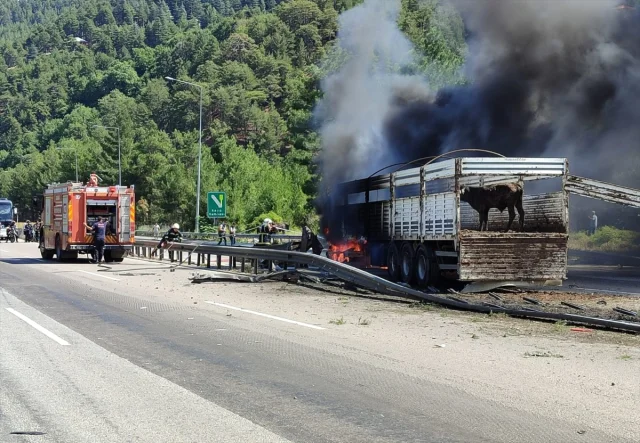 Adana'da Tır Yangını Korku Dolu Anlar Yaşattı